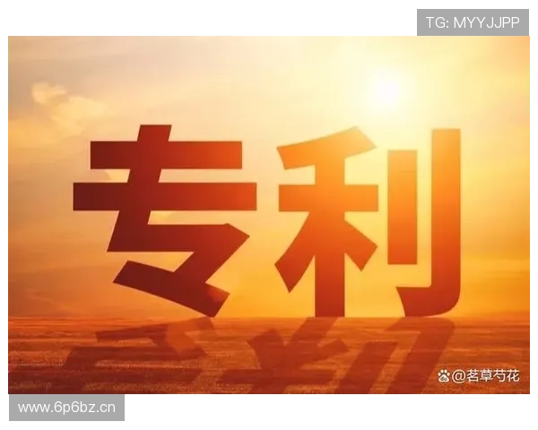 制度企业家视角下的创新驱动与企业成长路径探索